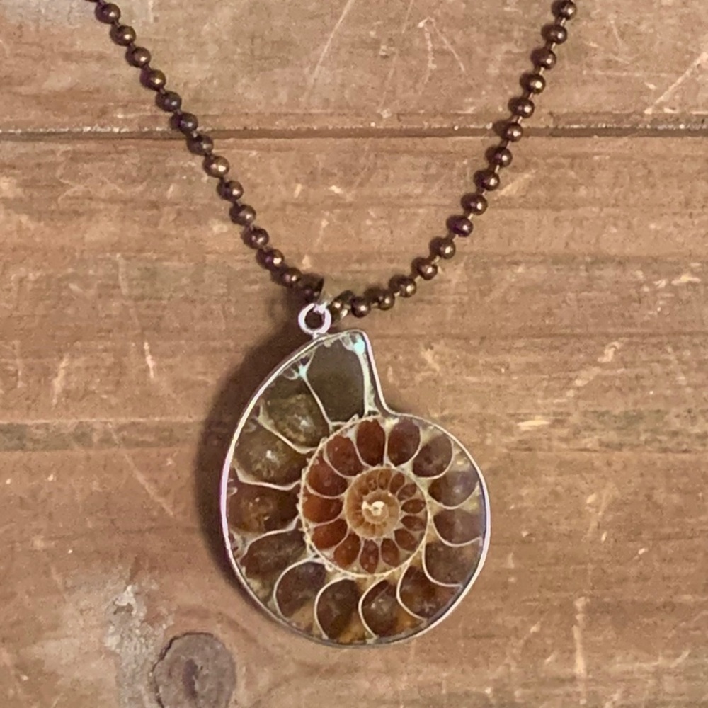 Ammonite Pendant Necklace